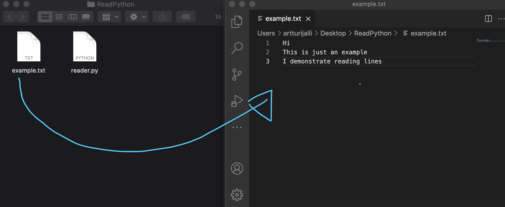 how-to-read-text-file-in-python-a-step-by-step-guide-examples