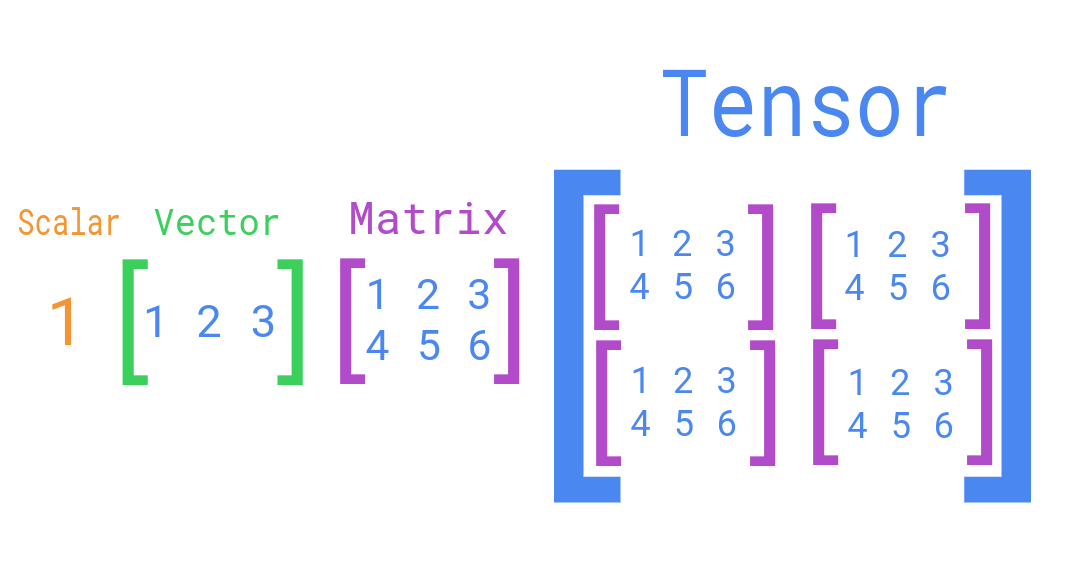 numpy-reshape-1-meaning-codingem